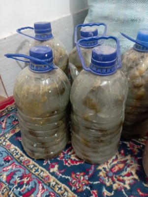 سلام خیارشورهمدان تردو خوشمزه