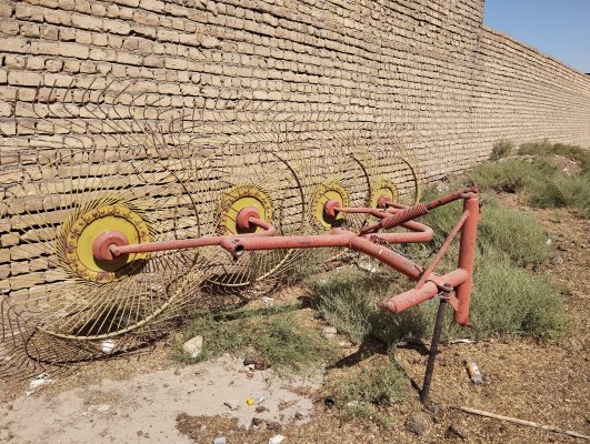 یونجه چین موور و ریگ