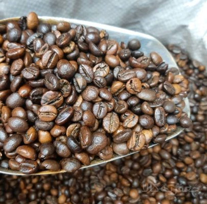 فروش عمده قهوه عربیکاو ربوستا ویژه برای خریدهای عمده